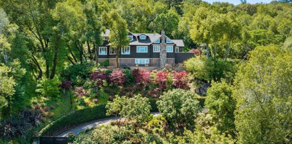 541 Oak Avenue, San Anselmo