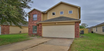17959 Branch Creek Drive, Cypress