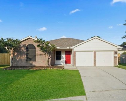 4039 Mossy Grove Court, Humble