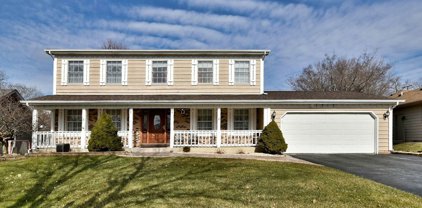 1313 Goldenrod Drive, Naperville