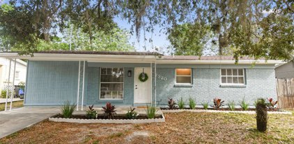 7320 Filbert Lane, Tampa