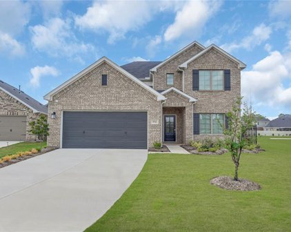 9702 Migrant Hawker Court, Conroe