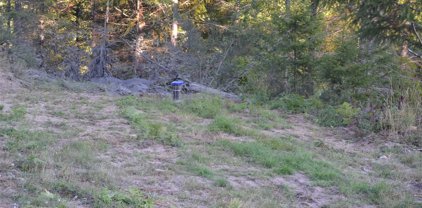 S Skate Creek Rd., Packwood