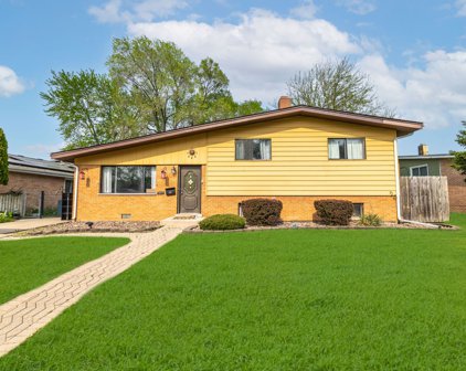11677 S Joalyce Drive, Alsip
