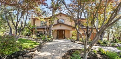 353 Castle Crest Rd, Alamo