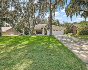 10144 Silver Bluff Drive, Leesburg image