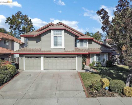 4715 Crestone Needle Way, Antioch