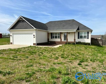 1506 Mathis Mill Road, Albertville