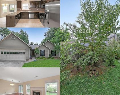 4795 Minden Chase, Johns Creek