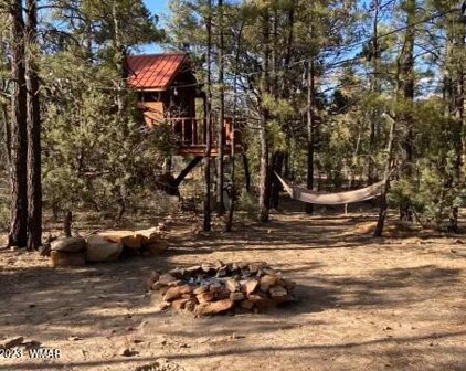 2074 Lone Mountain Road, Overgaard