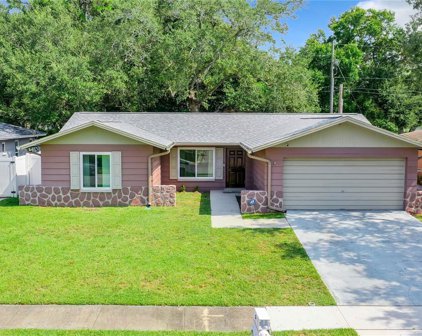 5781 Applecross St N, St Petersburg