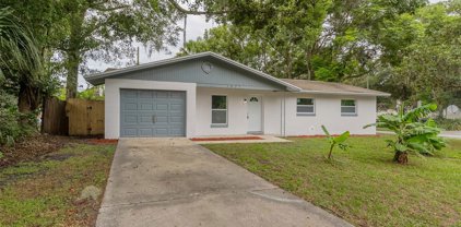 1027 E Georgia Avenue, Deland