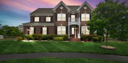 15600 Malvosin Pl, Leesburg