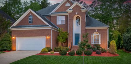 9010 Morgan Downs  Court, Charlotte