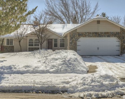 1101 W Winnie Lane, Carson City