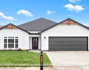 313 Frontier Dr, Clarksville image