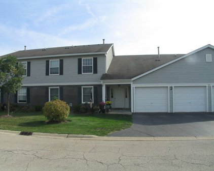 354 Wilmington Drive Unit #D2, Bartlett