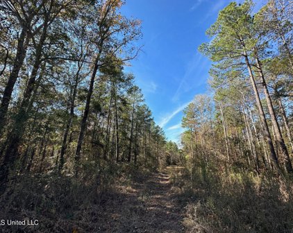 Antioch Shiloh Rd, Pelahatchie