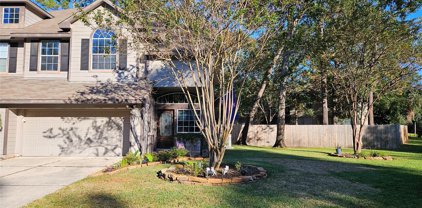 111 W Twinvale Loop, The Woodlands