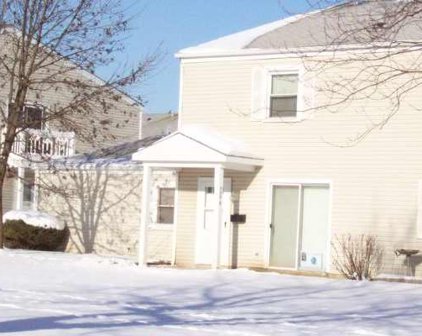 335 Donna Court Unit #B, Bartlett