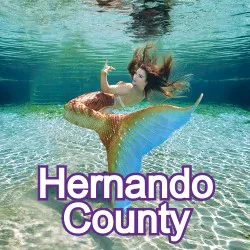 Hernando County Florida Homes for Sale