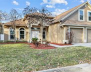 4304 Orange Ridge Court, Valrico image