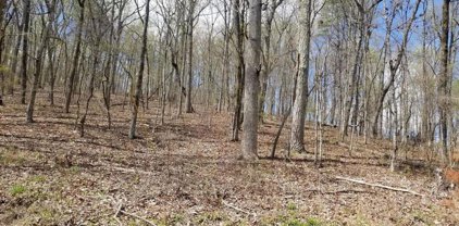 8.43 Acres Spruce, Willow & Maple Drive, Spring City