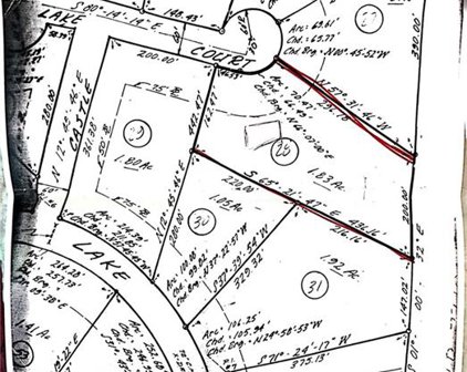 1070 Castle Lake Court, Tyrone