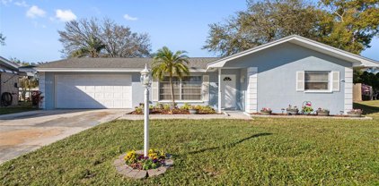 1710 Ironwood Court E, Oldsmar