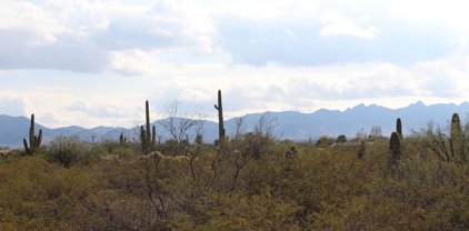 TBD S Mann Unit #035D, Sahuarita