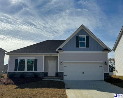 3848 Panther Path (Lot 51), Timmonsville