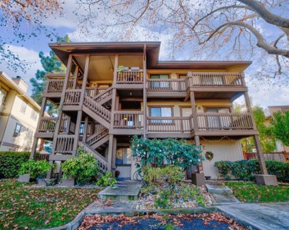 956 Apricot Avenue, Campbell