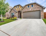 11720 Buckthorn  Drive, Fort Worth image