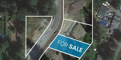 12838 235a Street, Maple Ridge