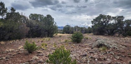 374 Cactus, South Fork
