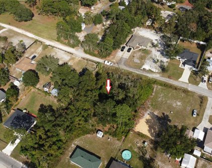 Williams Avenue, Orange City