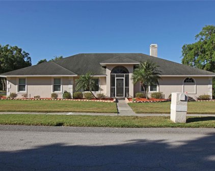 3557 Tigereye Court, Mulberry