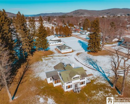 2207 Sheldon  Drive, Allegany-042089