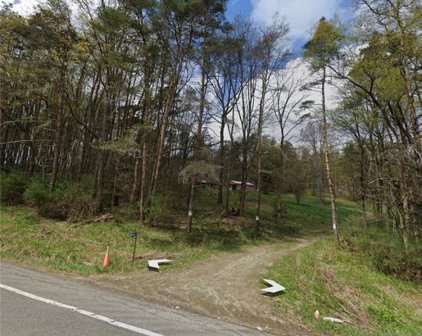 8168 Route 242, Little Valley-045489