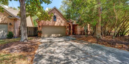 30 N Belfair Place, The Woodlands
