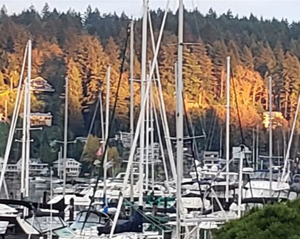 3901 Harborview Drive Unit #B-3, Gig Harbor