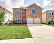 2618 Diving Duck Court, Humble image