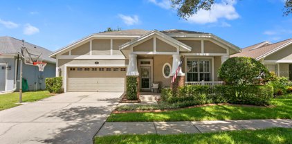 5027 Torrey Hills Lane, Lutz