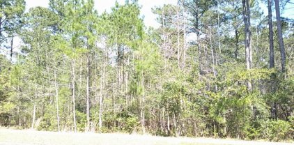 83 Pineberry Dr., Georgetown