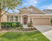 21644 Southern Charm Drive, Land O' Lakes image