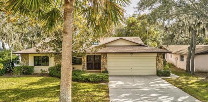 1928 Gulfview Drive, Holiday
