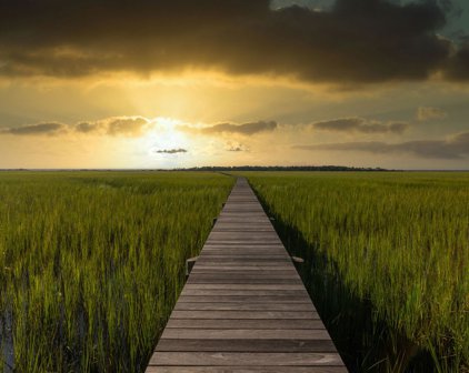 16 Seagrass Lane, Isle Of Palms