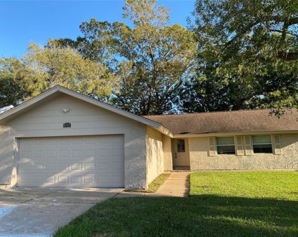 4303 Ravine Drive, Friendswood