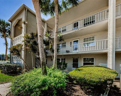 946 Virginia Street Unit 201, Dunedin