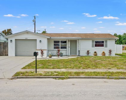 1225 Honor Drive, Holiday
